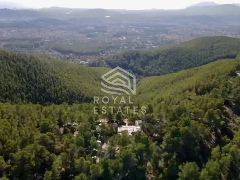 Finca Oasis