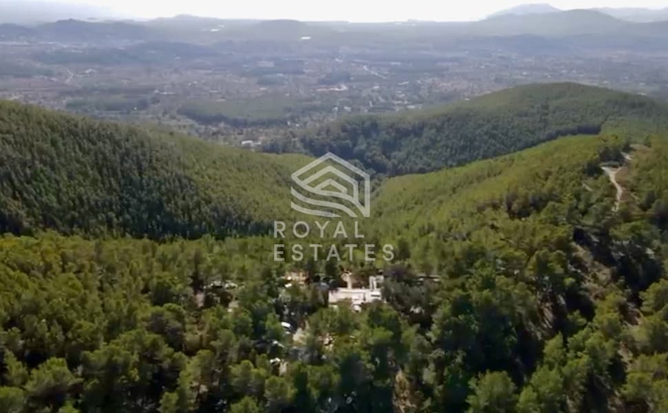 Finca Oasis