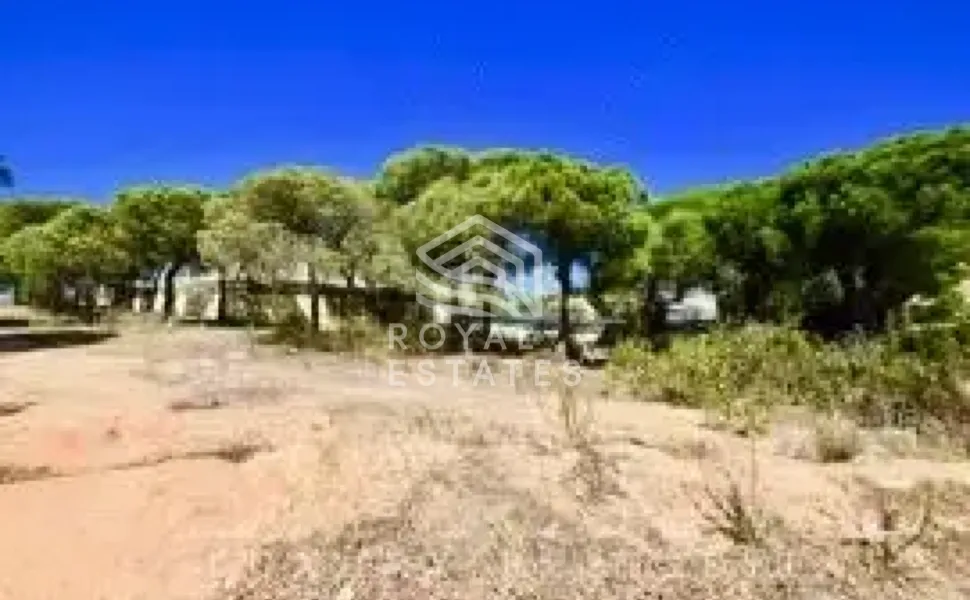 FANTASTIC BUILDING PLOT