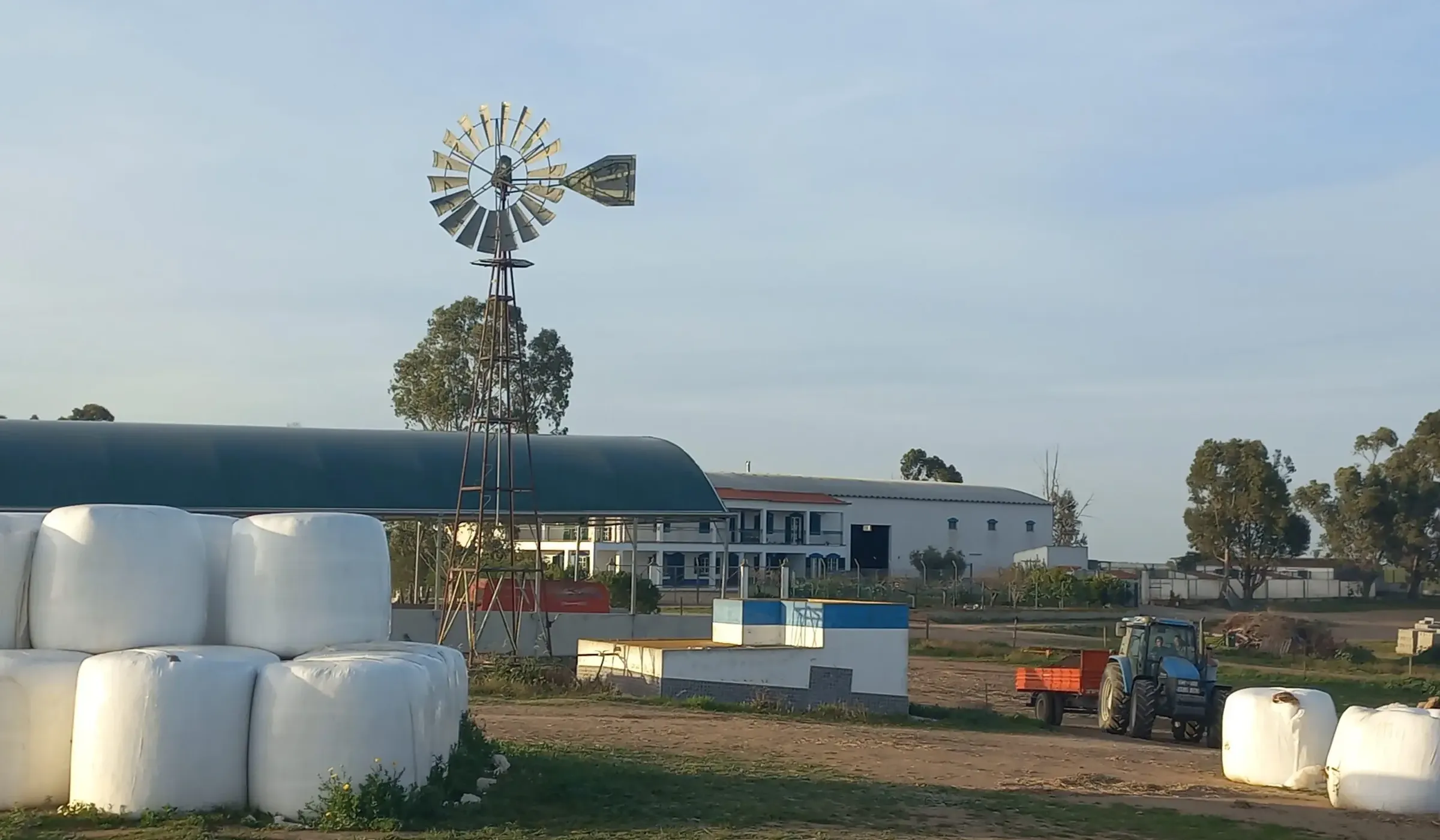 Investment Opportunity: Expansive Alentejo Farm with Multiple Residences, Farming Activities, 6+ bedrooms