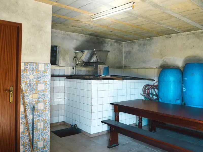 Magnificent farmhouse with 2 bedroom and fantastic green areas