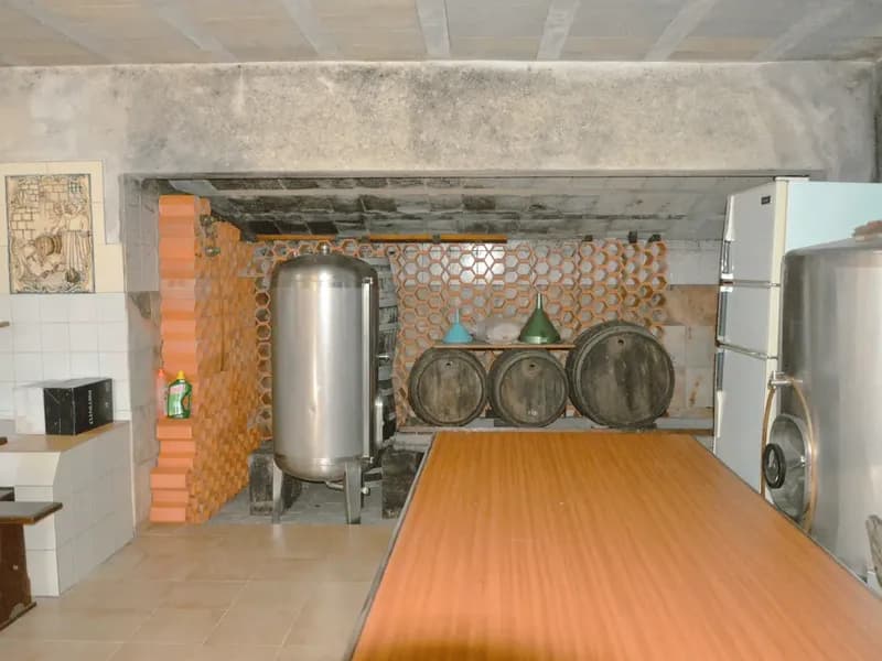 Magnificent farmhouse with 2 bedroom and fantastic green areas