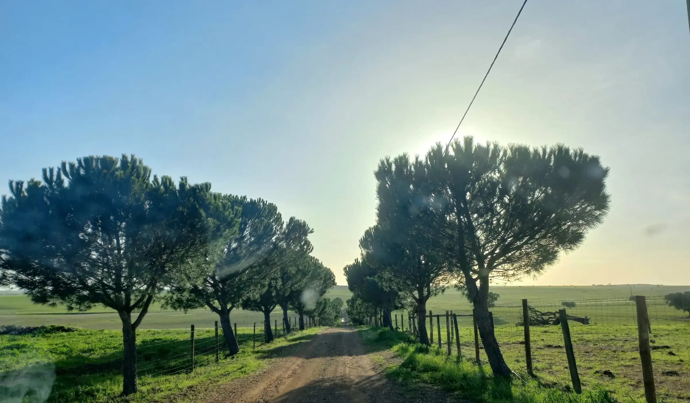 Investment Opportunity: Dream Homefall with 274 ha of Natural Beauty in the Lower Alentejo