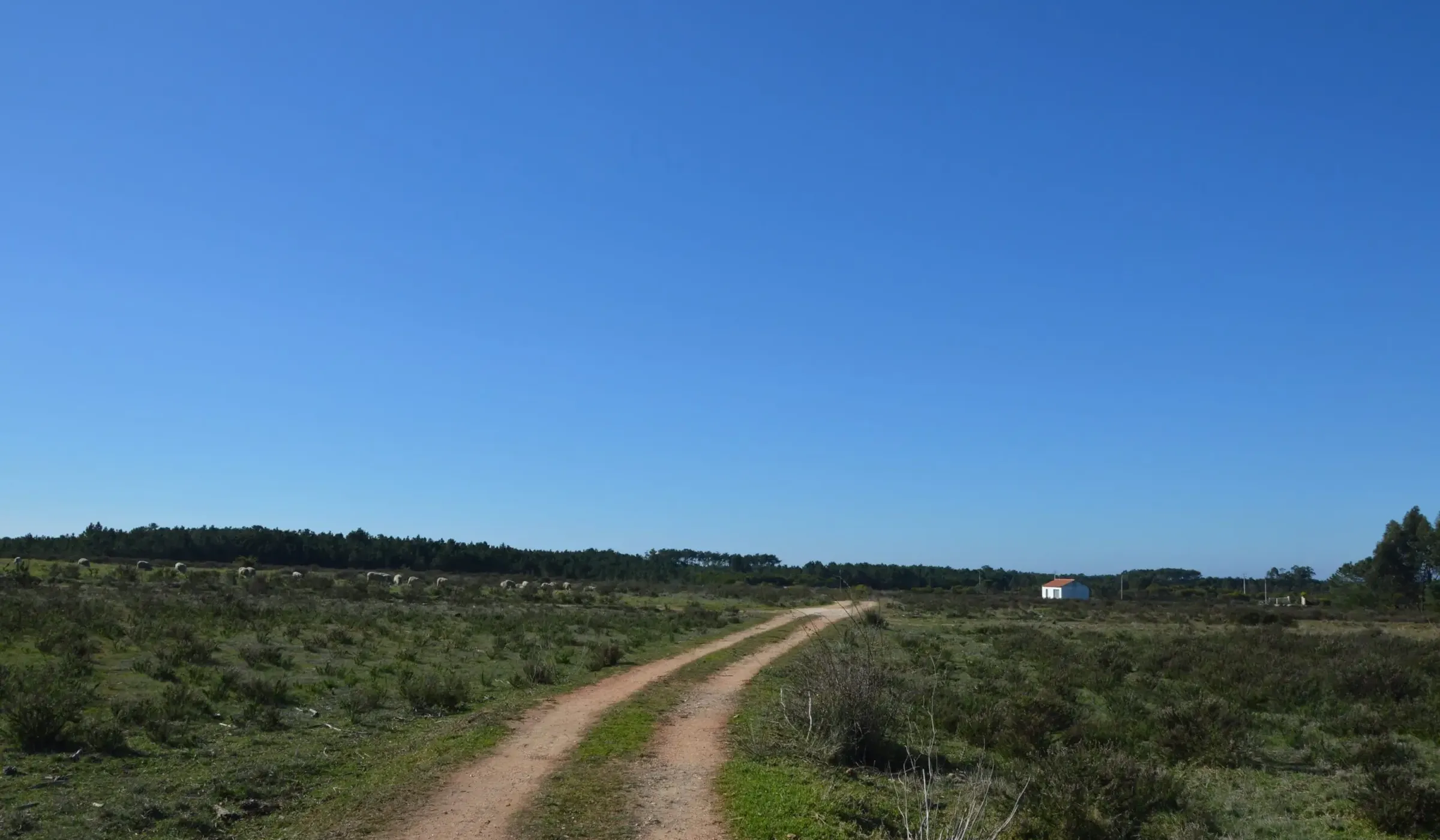 Farm with 16 hectares near the beach of Odeceixe - Algarve