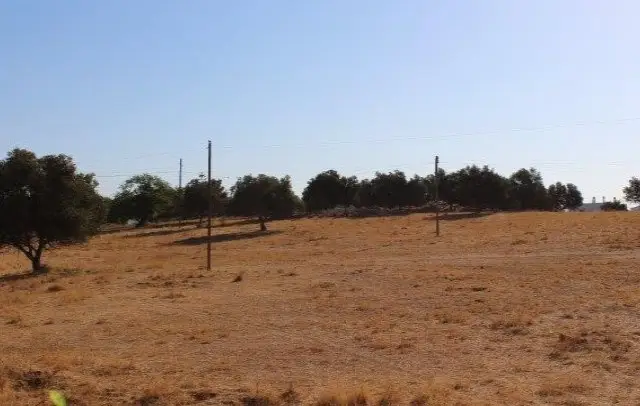 Mixed Land in Ferreiras, Albufeira