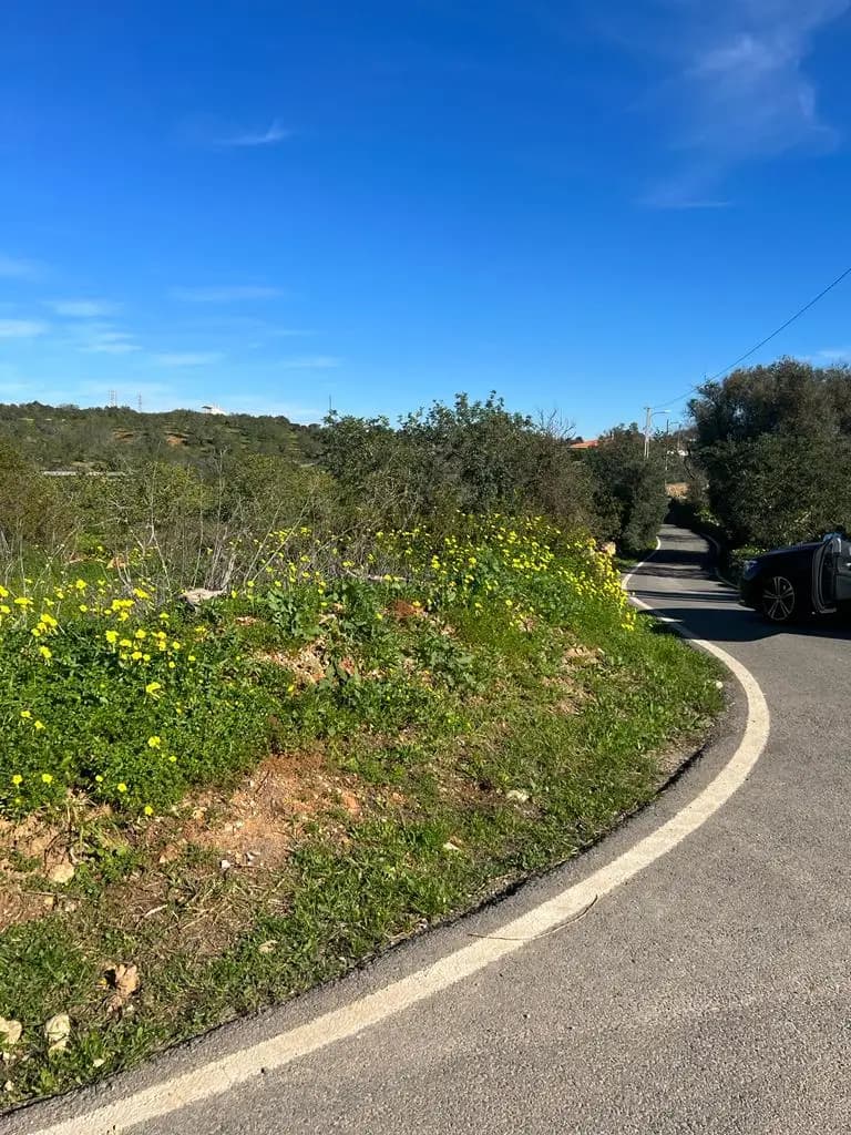Magnificent property for investment in Albufeira