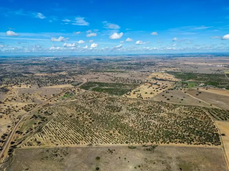 Extraordinary 53-Hectare Estate in Almodóvar, Baixo Alentejo: An Unmissable Investment Opportunity
