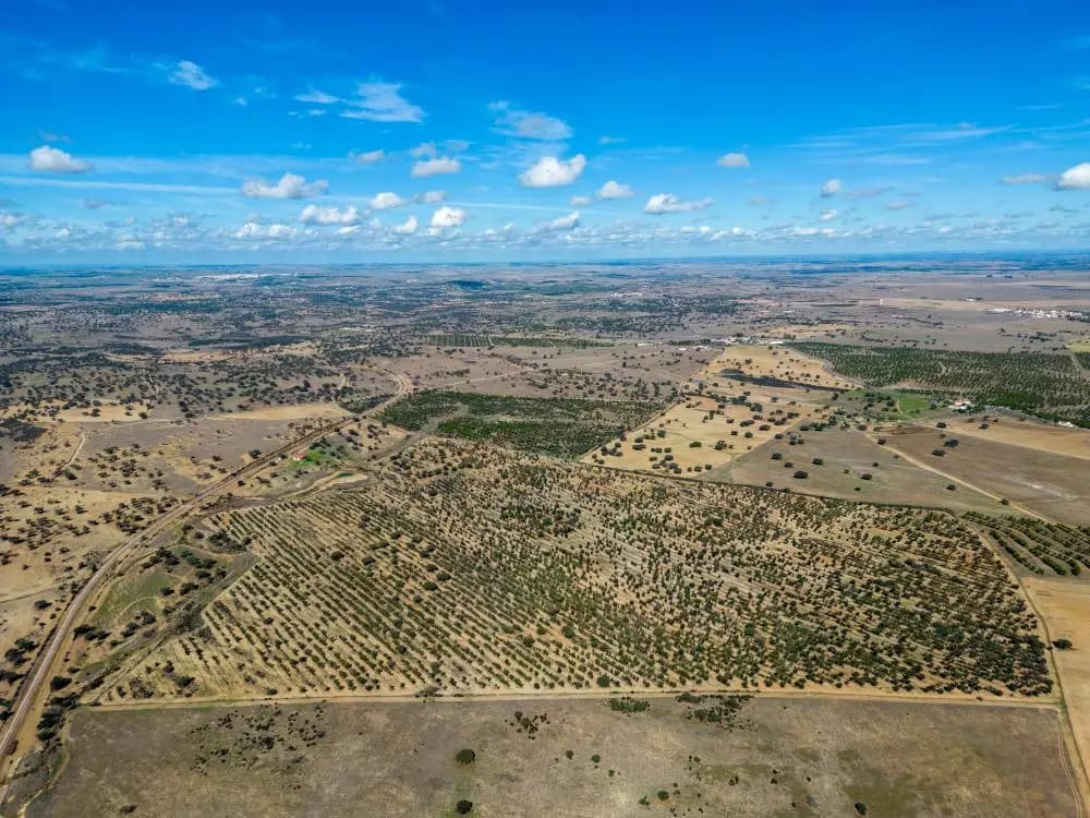 Extraordinary 53-Hectare Estate in Almodóvar, Baixo Alentejo: An Unmissable Investment Opportunity
