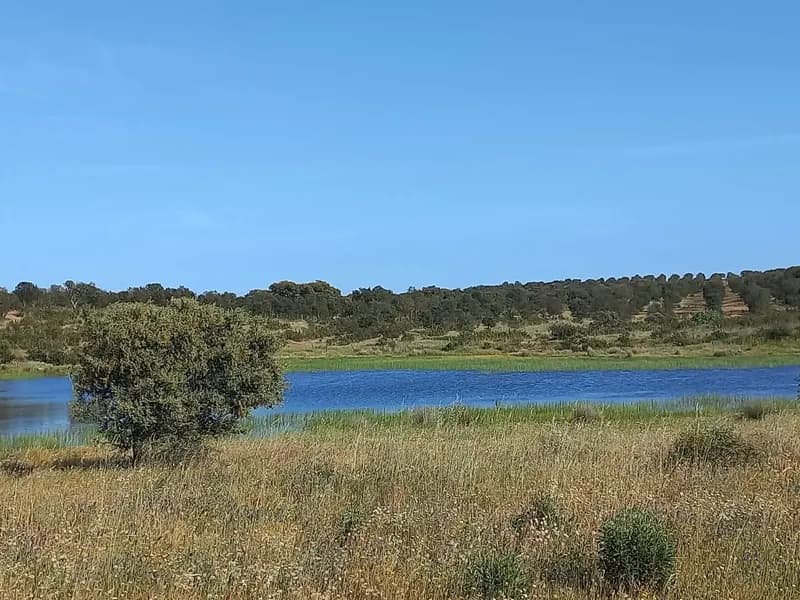 Extraordinary 53-Hectare Estate in Almodóvar, Baixo Alentejo: An Unmissable Investment Opportunity