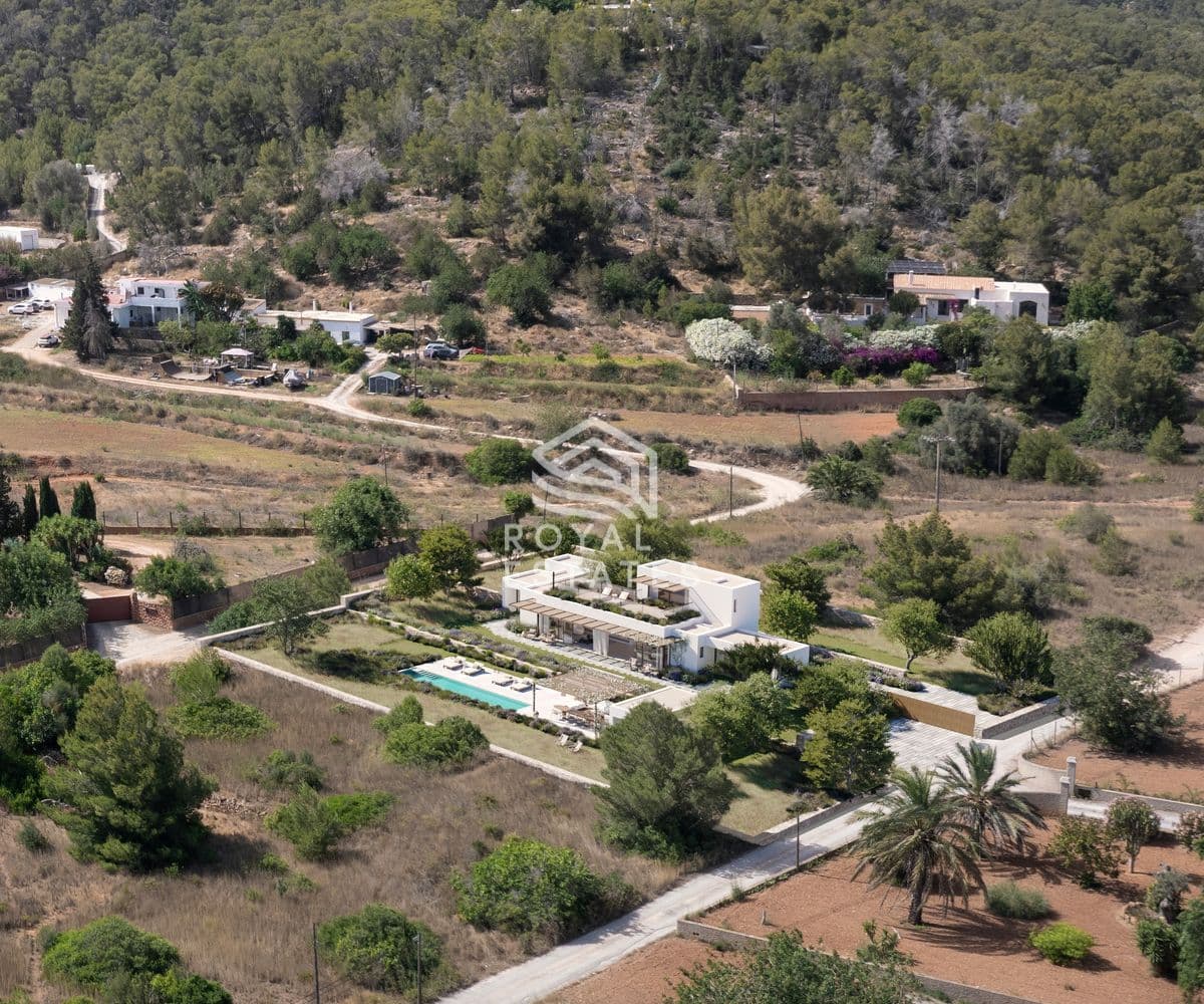 Plot Bambuddha