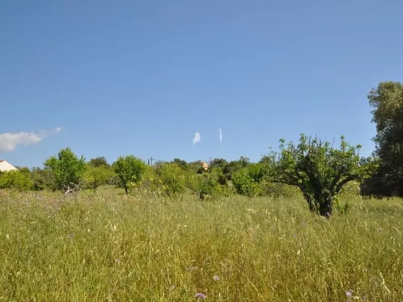 LARGE BUILDING PLOT WITH PERMIT