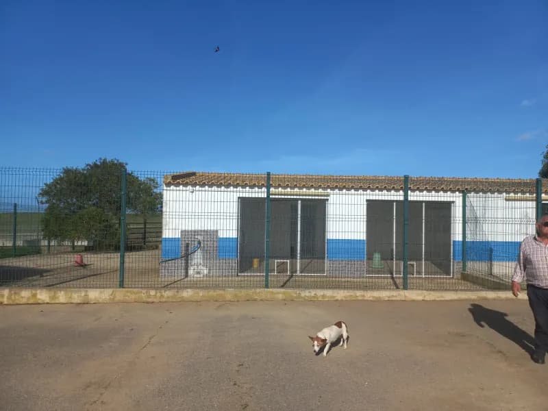 Investment Opportunity: Expansive Alentejo Farm with Multiple Residences, Farming Activities, 6+ bedrooms