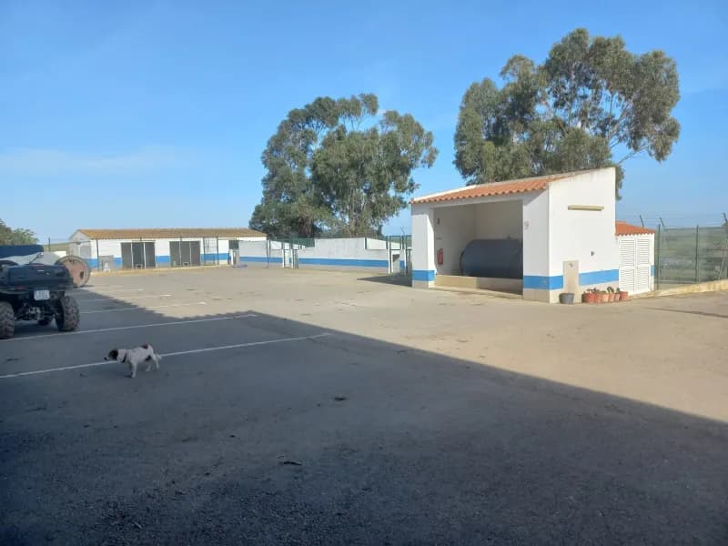 Investment Opportunity: Expansive Alentejo Farm with Multiple Residences, Farming Activities, 6+ bedrooms