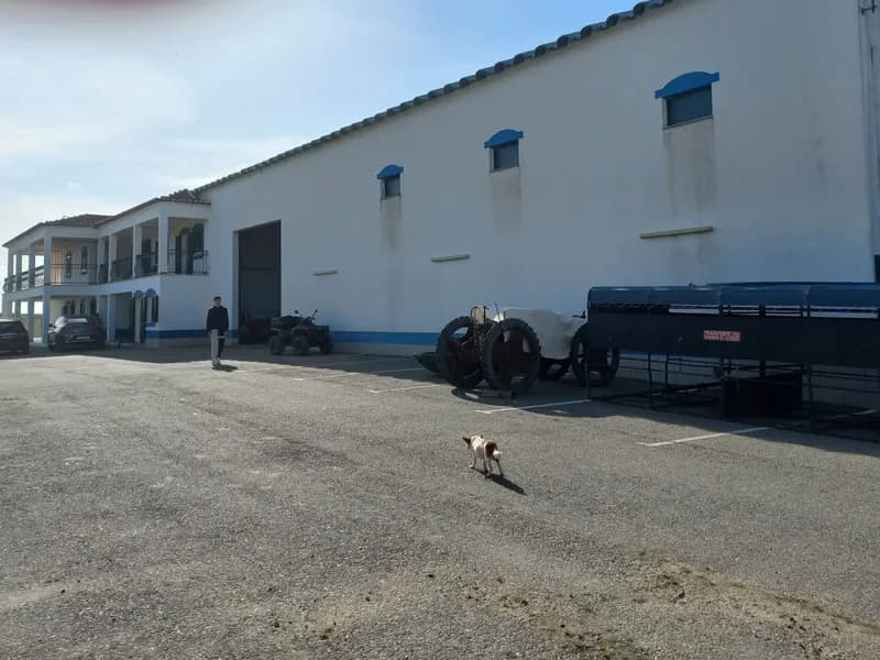 Investment Opportunity: Expansive Alentejo Farm with Multiple Residences, Farming Activities, 6+ bedrooms