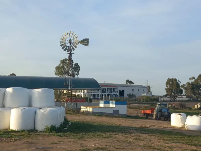 Investment Opportunity: Expansive Alentejo Farm with Multiple Residences, Farming Activities, 6+ bedrooms