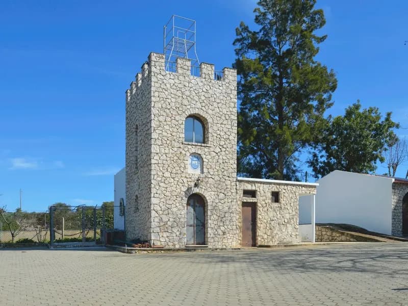 Exquisite Farm with Charming Villa, Vineyard, and Pool in Mexilhoeira Grande