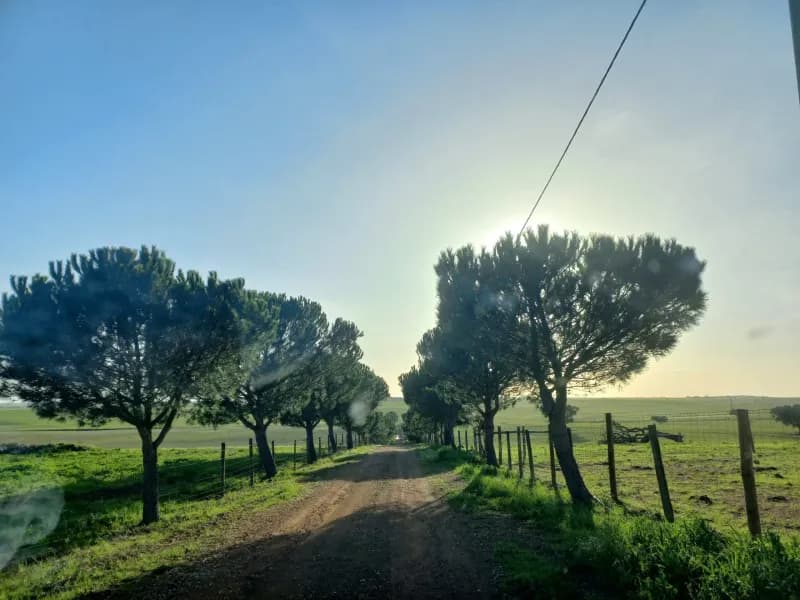 Investment Opportunity: Dream Homefall with 274 ha of Natural Beauty in the Lower Alentejo