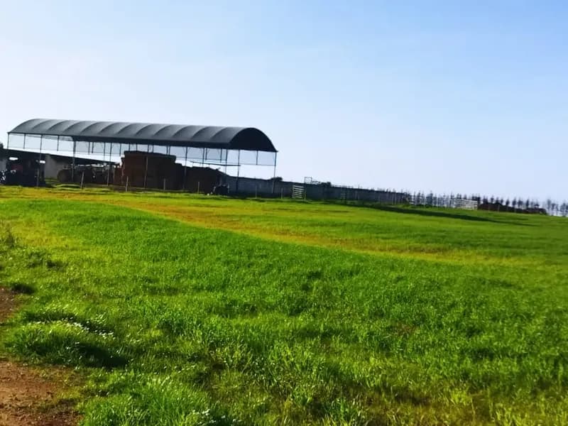 Investment Opportunity: Dream Homefall with 274 ha of Natural Beauty in the Lower Alentejo