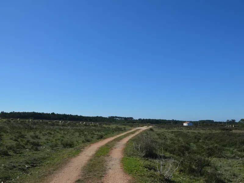 Farm with 16 hectares near the beach of Odeceixe - Algarve