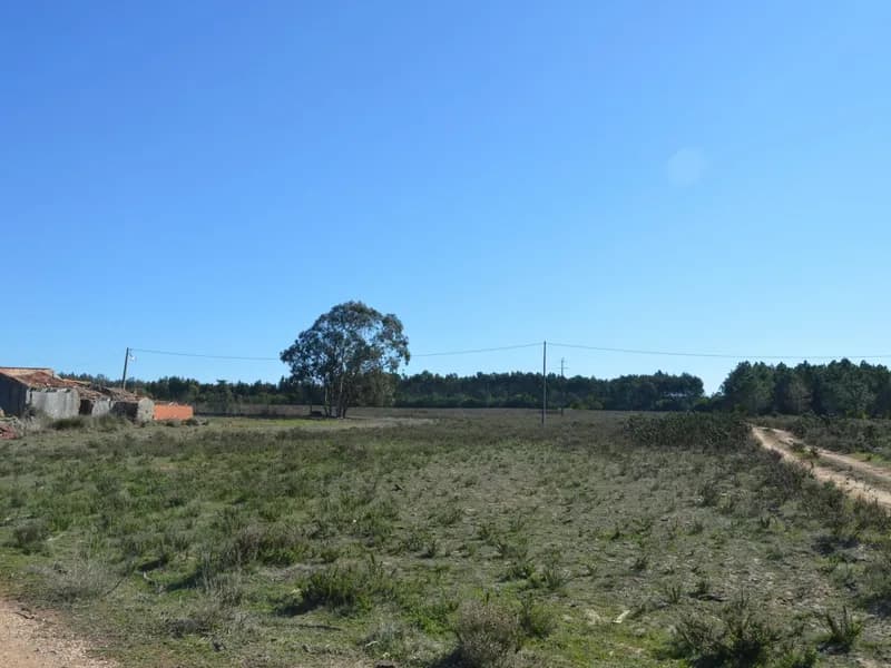 Farm with 16 hectares near the beach of Odeceixe - Algarve