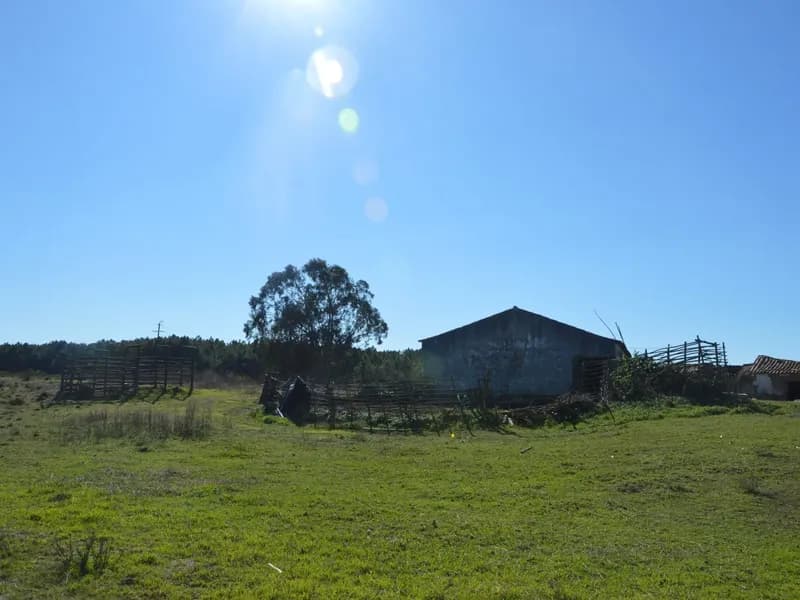 Farm with 16 hectares near the beach of Odeceixe - Algarve