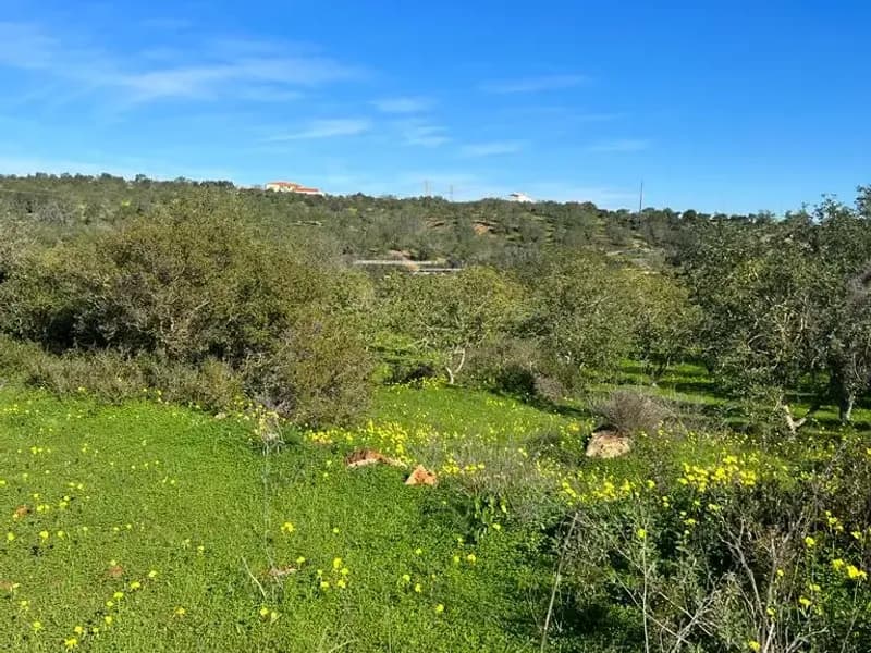 Magnificent property for investment in Albufeira