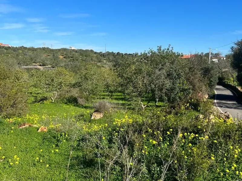 Magnificent property for investment in Albufeira