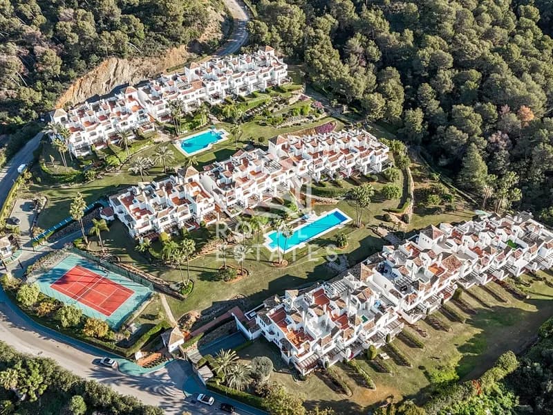 Last Green Casa 4