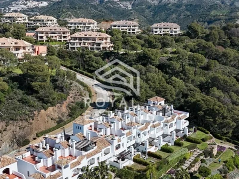 Last Green Casa 4