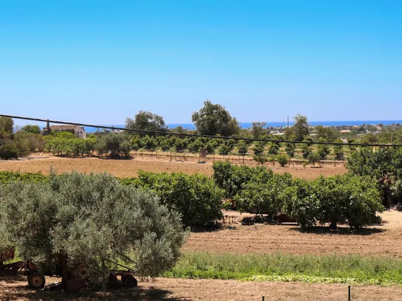Stunning Rural Dwelling with Pool and Scenic Views in Tavira, Algarve