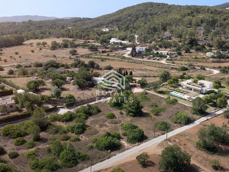 Plot Bambuddha