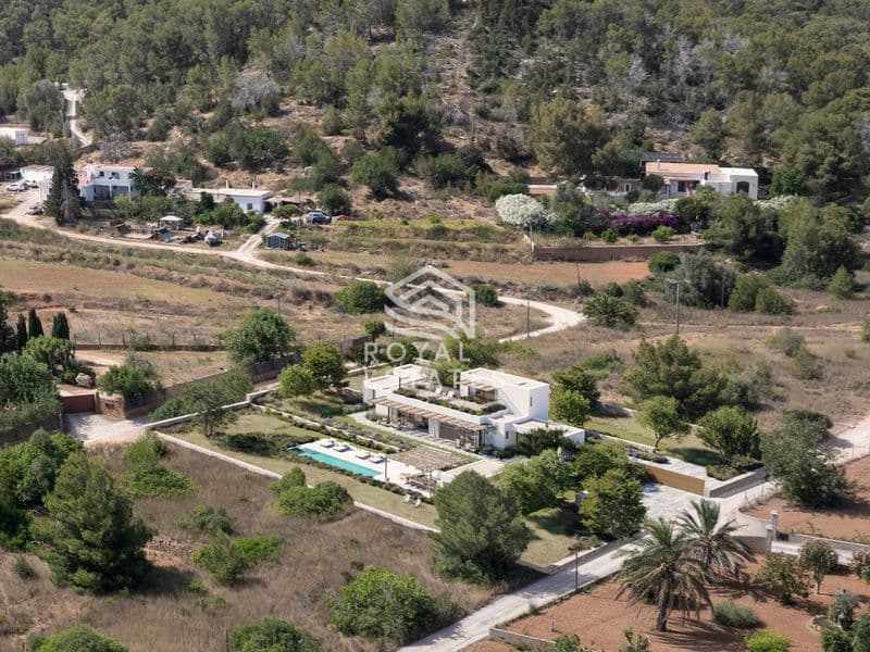 Plot Bambuddha